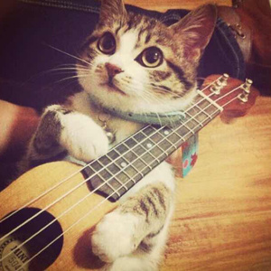 免费视频🔞成人流出来了
